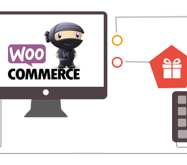 woocommerce development